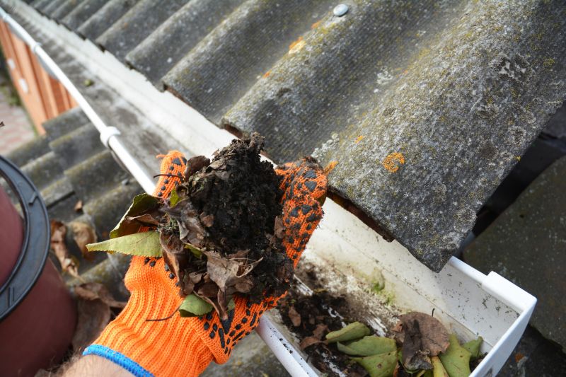 Debris-Free Gutters